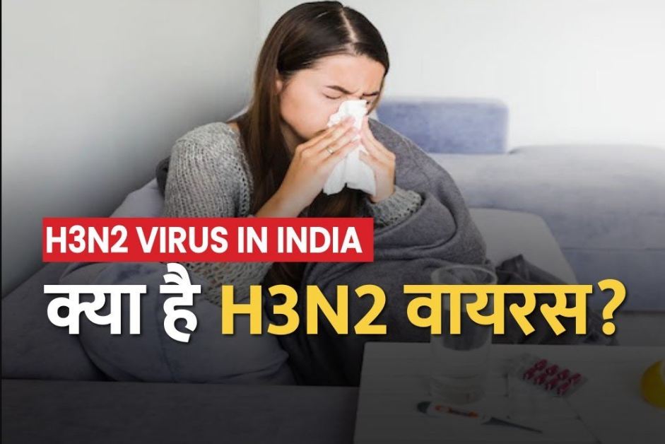 h3n3 virus