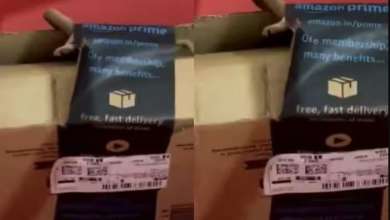 अमेजन से ऑर्डर किया सामान, पैकेट खोला तो निकला जिंदा कोबरा