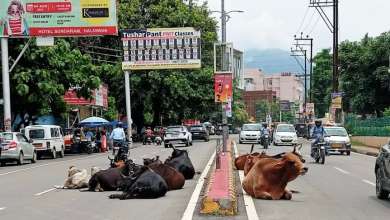 अखिल एकता उद्योग व्यापार मंडल की महानगर अध्यक्ष