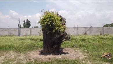 haldwani breaking news