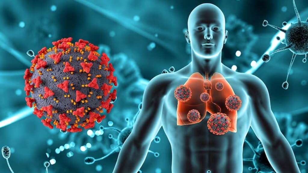 new coronavirus