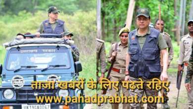 cm dhami ramnagar news