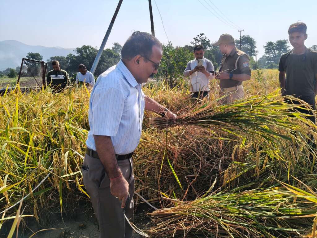 हल्द्वानी: डीएम ललित मोहन रयाल ने किसानों के साथ की क्रॉप कटिंग