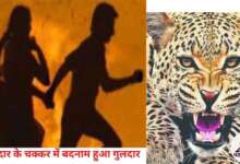 दिलदार के चक्कर में बदनाम हुआ गुलदार