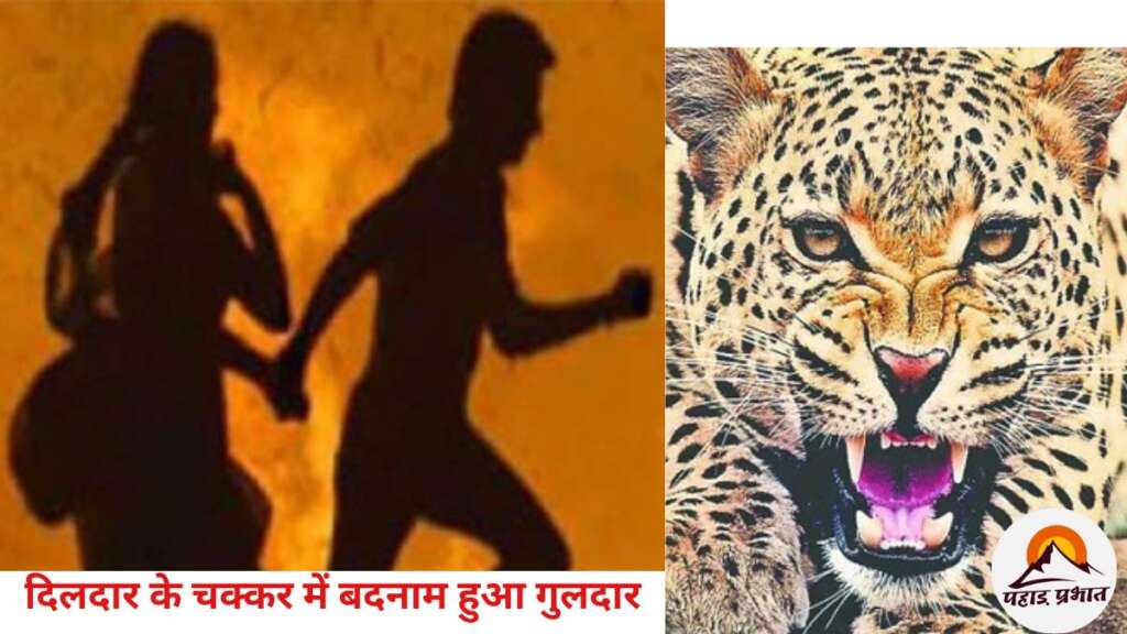 दिलदार के चक्कर में बदनाम हुआ गुलदार