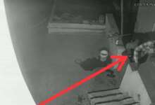 हल्द्वानी: श्री कालू सिद्धि मंदिर से चांदी का मुकुट और नकदी चोरी, सीसीटीवी में कैद हुआ चोर