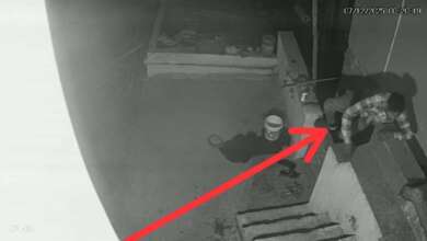 हल्द्वानी: श्री कालू सिद्धि मंदिर से चांदी का मुकुट और नकदी चोरी, सीसीटीवी में कैद हुआ चोर