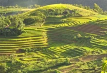 chakbandi uttarakhand
